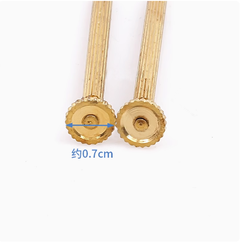 Small Size Metal Slotted Screw - Luxury Watch Expensive avaliação e preço